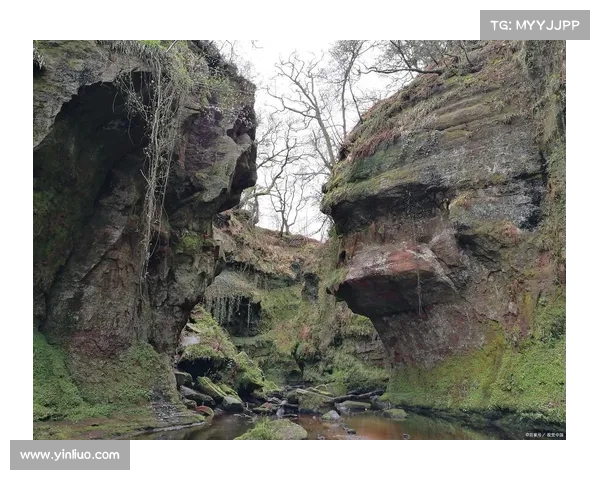 新手必看暗影圣域全方位探索指南带你揭开神秘世界的隐藏秘密